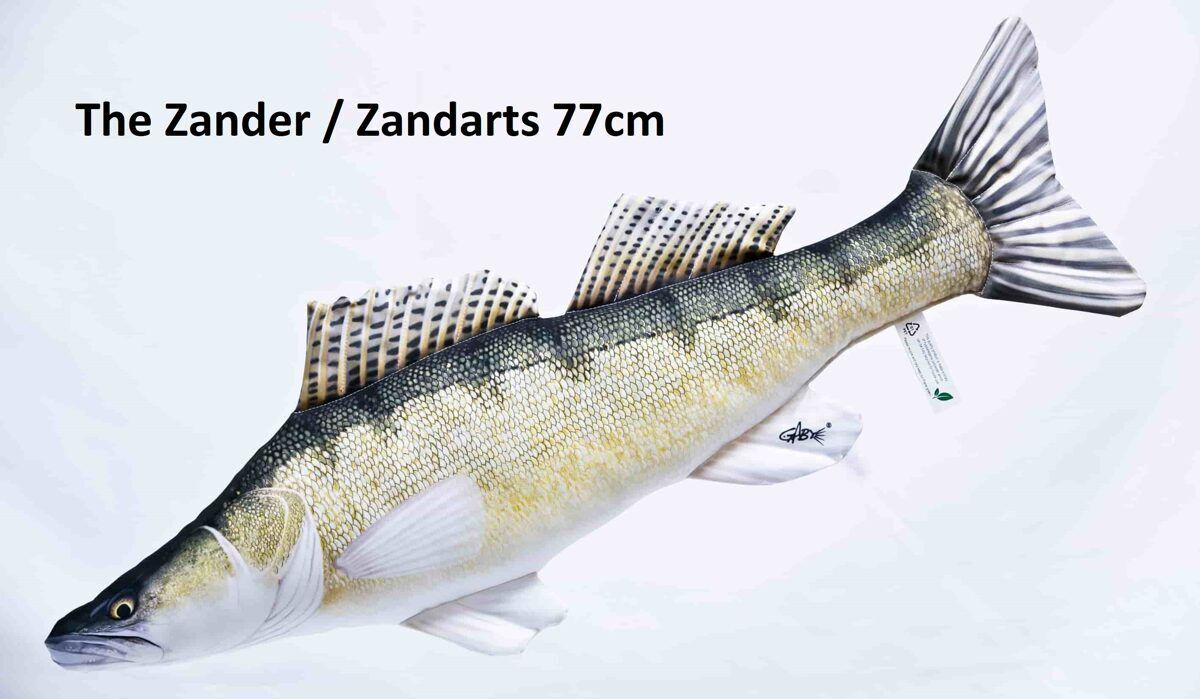 Zander Pillow 77cm