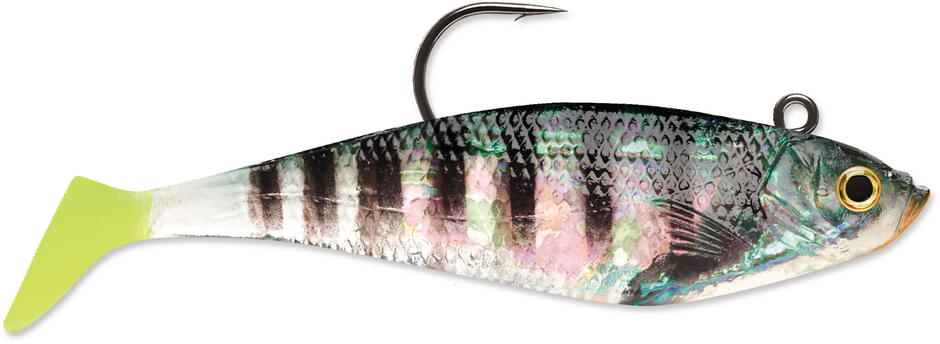 Silikona Mānekļi Rapala WildEye® Swim Shad 4"