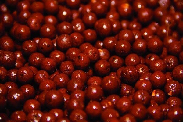 The Source Boilies 15mm, Source Boilas no Dynamite - 5kg