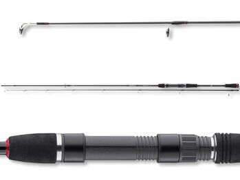 DAIWA Ballistic Sea Trout 10-40g 2,85m 3,1m