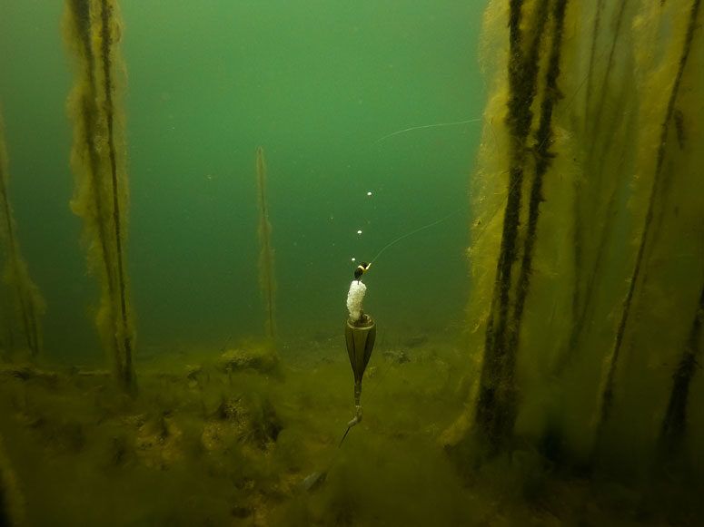 Pludiņa komplekts FOX EDGES Zig Float Kit