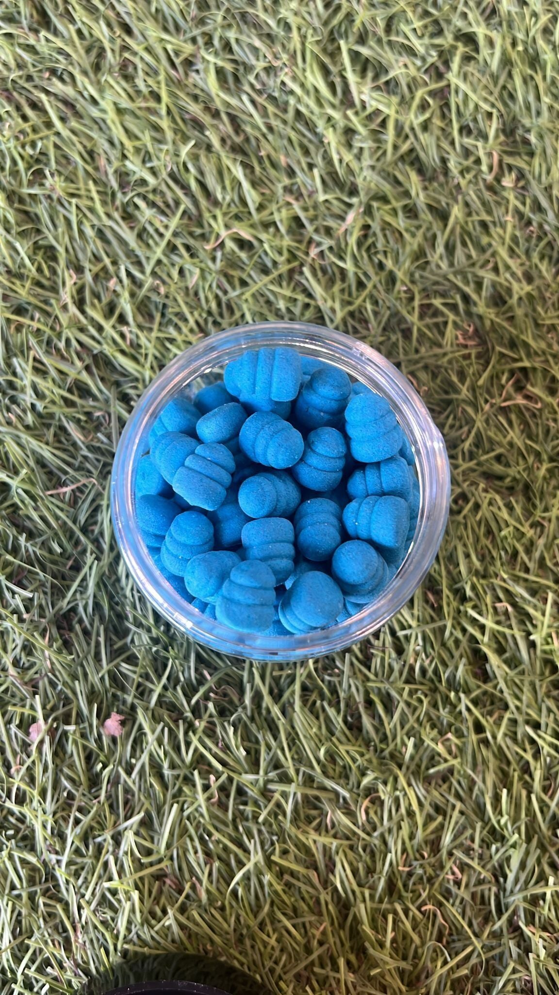 Pasaules čempionu boilas BoilieLab BoilasLV PopUp Gliemezītis / Shell zils