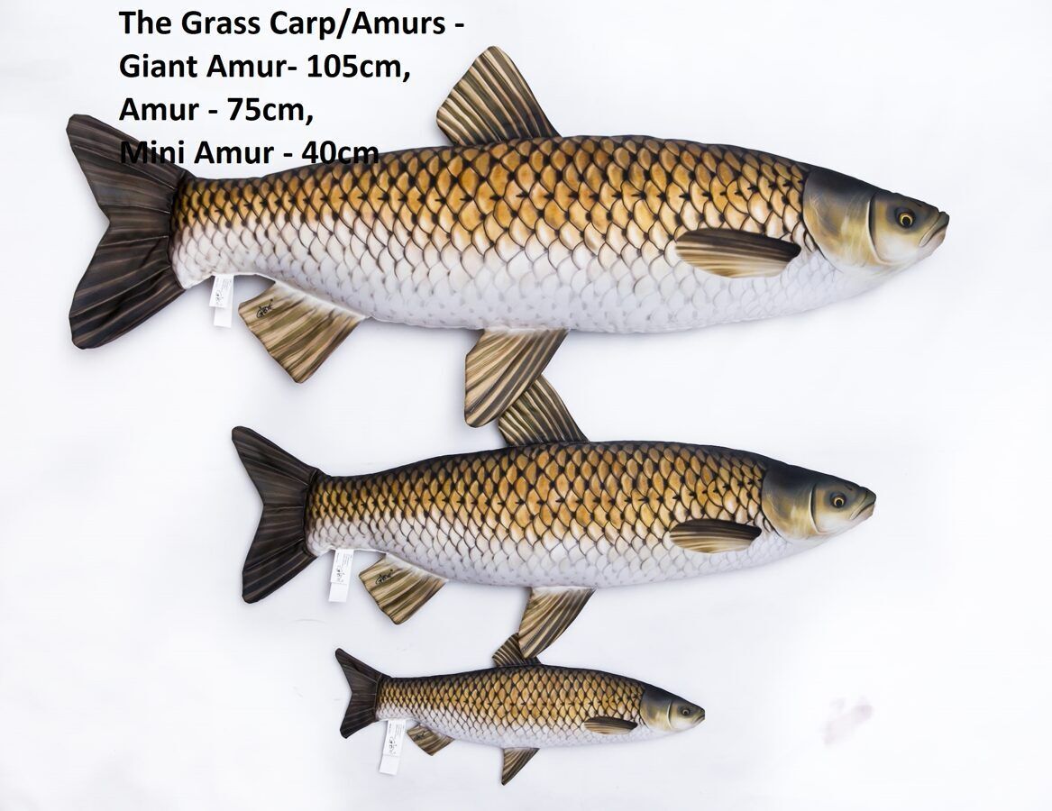 Spilvens amūrs vidējs 75cm / GrassCarp pillow medium 75cm