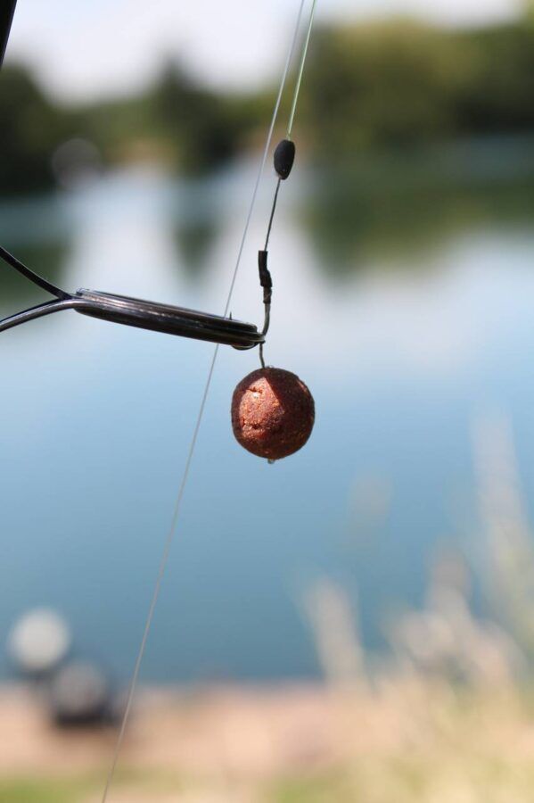 Dynamite baits 15mm Spicy Shrimp & Prawn, Asās Garneles un krevetes boilas 1kg