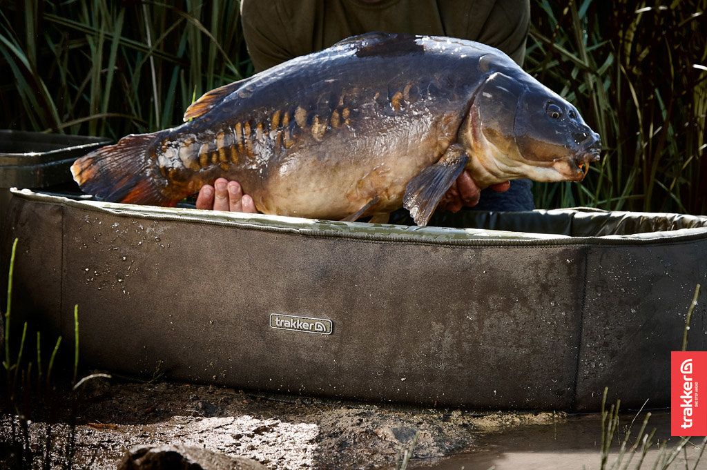 TRAKKER SANCTUARY COMPACT OVAL CRIB