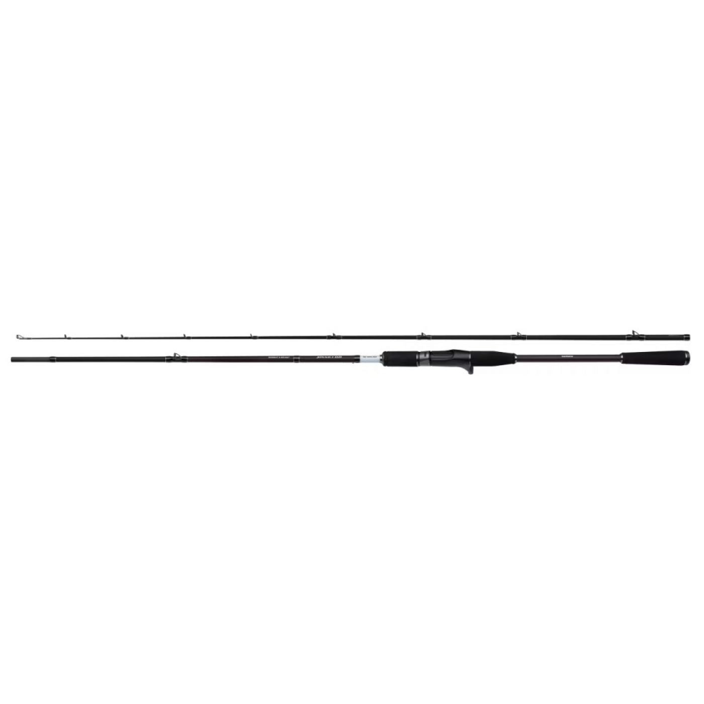 Baitcast Spinings SHIMANO Yasei BB AX Swimbait & Big Bait, 2,4m, 7,87ft, 120-170g, 2 parts, Casting fishing rod, moderate