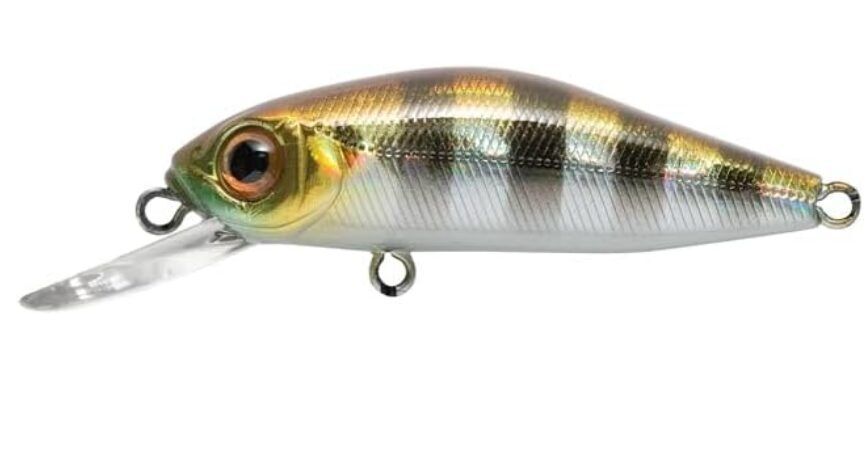 Pontoon21 CrackJack 78F-MR