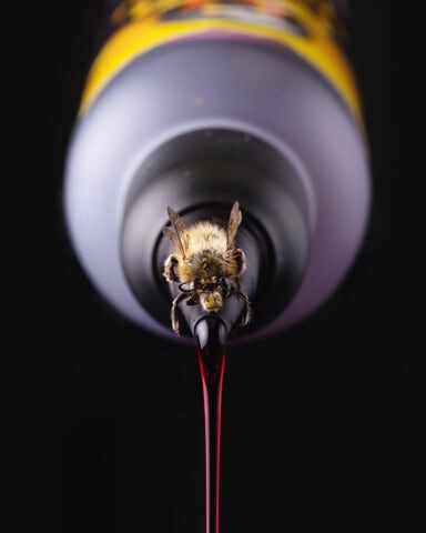 Korda Goo Golden Honey Supreme, Medus garšas koncentrēts likvīds