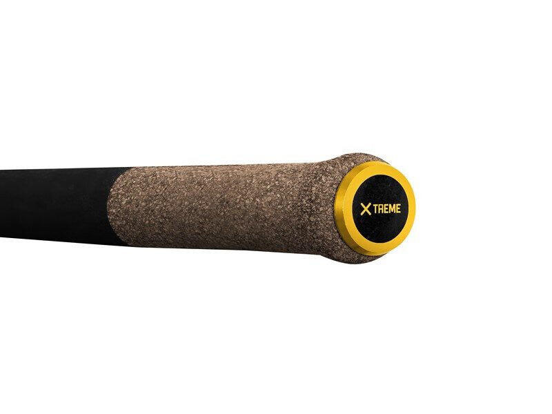 Feeder Delphin RIVER Trophy NXT X-TREME + 4 tips 400cm/250g