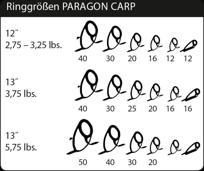 SPORTEX Paragon CS-2, STALKER Karpu makšķerkāti 10ft/3m