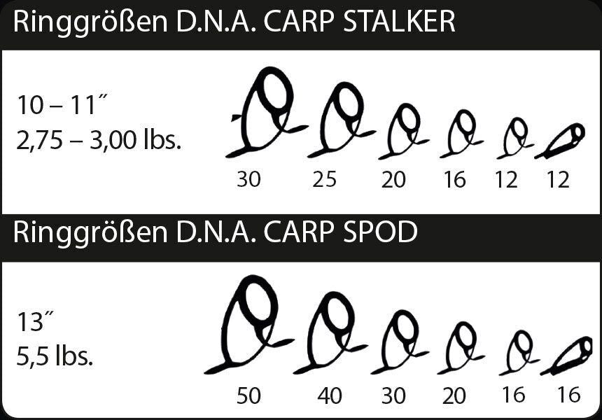 SPORTEX D.N.A. CS-2 SPOD Karpu iebarošanas makšķerkāti 13“/3,9m, 6,00lbs
