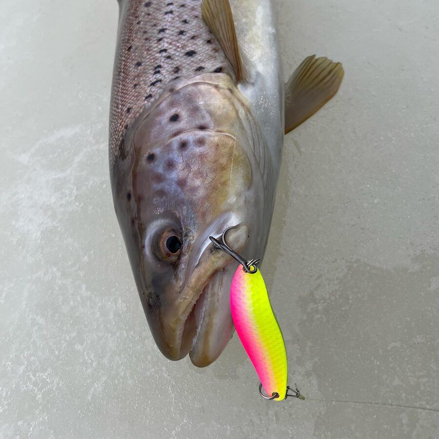 Šūpiņi Toxic Irony By Dmitry Beljajev - rozā/dzelteni spīdīgi - Made in Latvia 16/19/20/24/32g