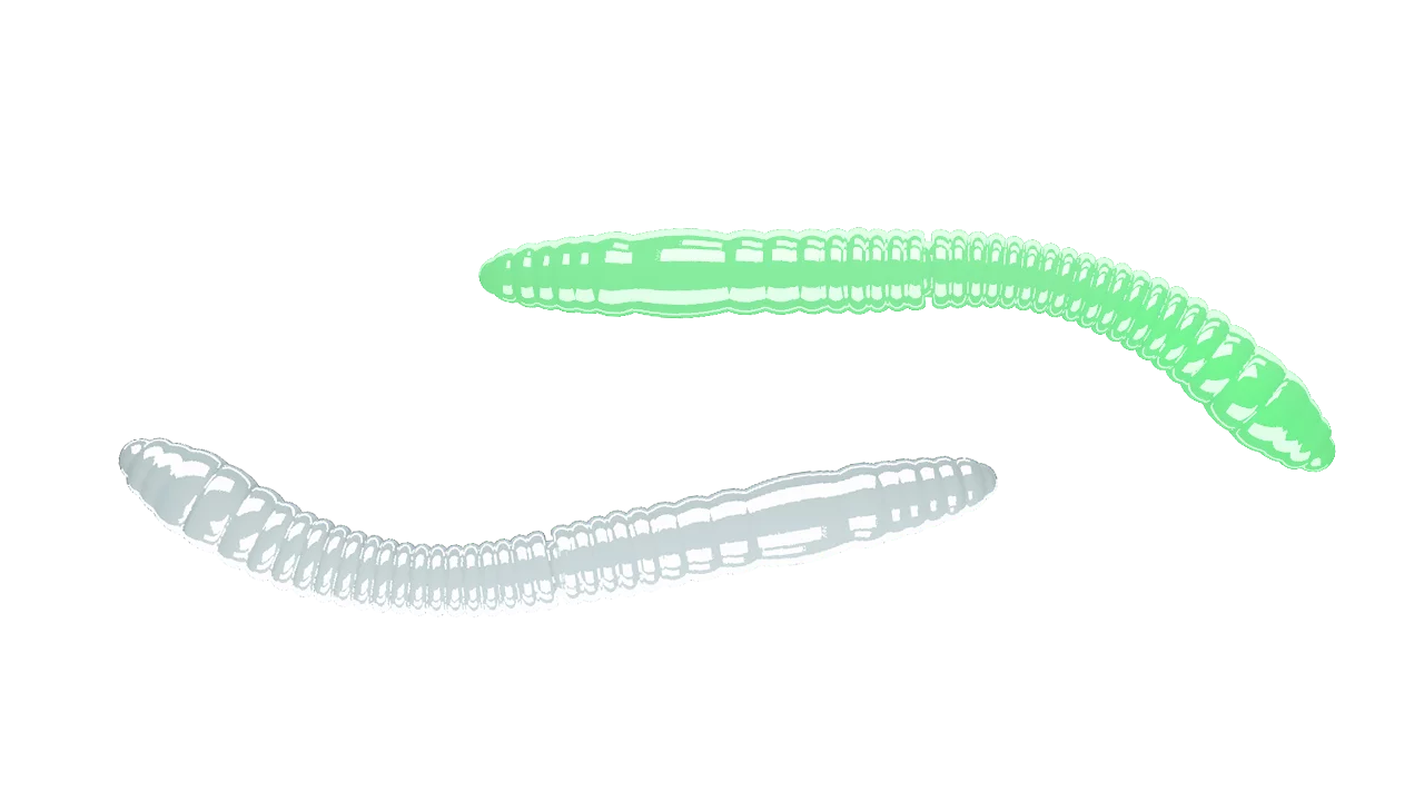 Silikona mānekļi Libra Lures Fatty D'Worm Tournament 55