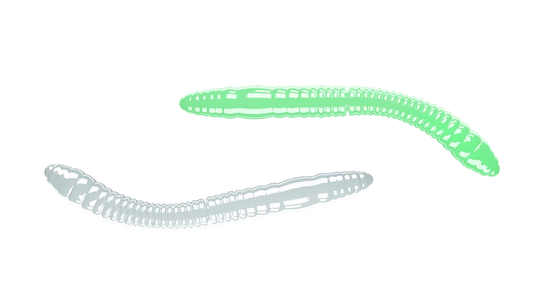 Silikona mānekļi Libra Lures Fatty D'Worm Tournament 55
