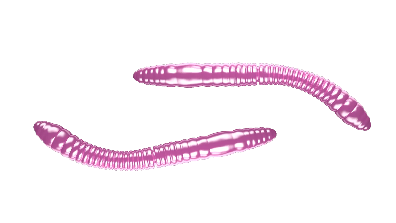 Silicone Lures Libra Lures Fatty D'Worm Tournament 55