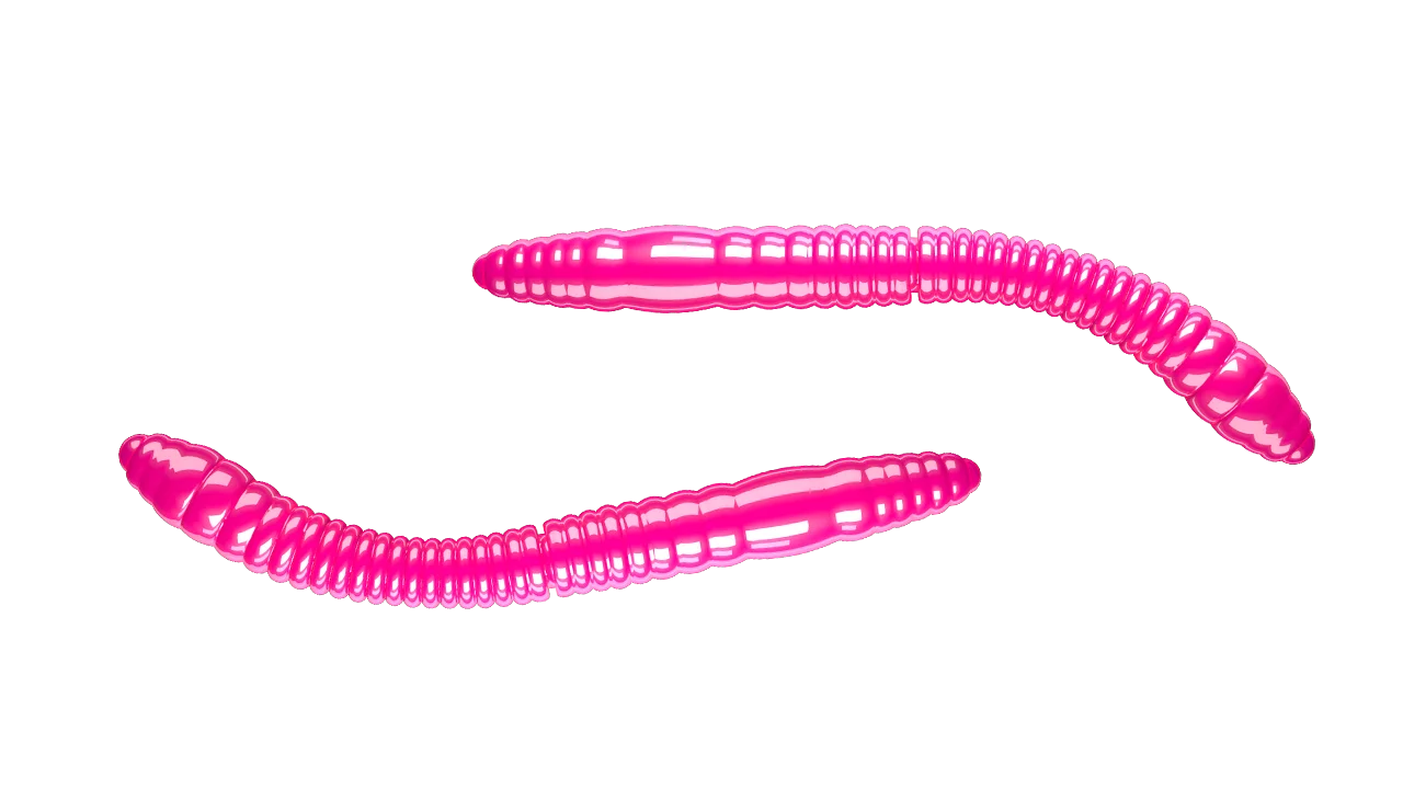Silicone Lures Libra Lures Fatty D'Worm Tournament 55