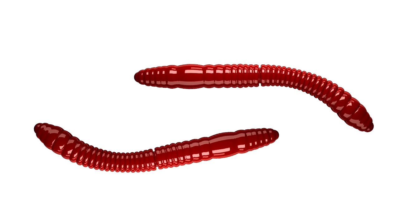 Silicone Lures Libra Lures Fatty D'Worm Tournament 55