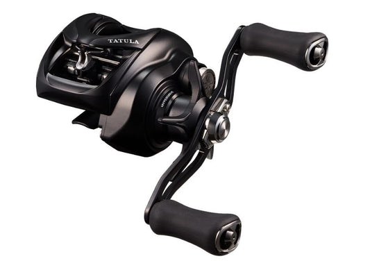 Multiplikators Daiwa 25 TATULA TW 200XHL