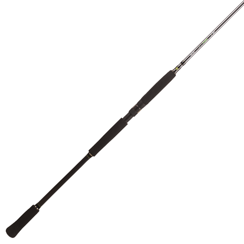 Spinings BFT Raptor G2 Spinn Pike Multi 8' -100g 2pcs Casting