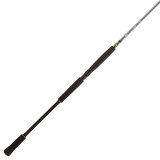 Spiningas BFT Raptor G2 Spinn Pike Multi 8' -100g 2pcs Casting