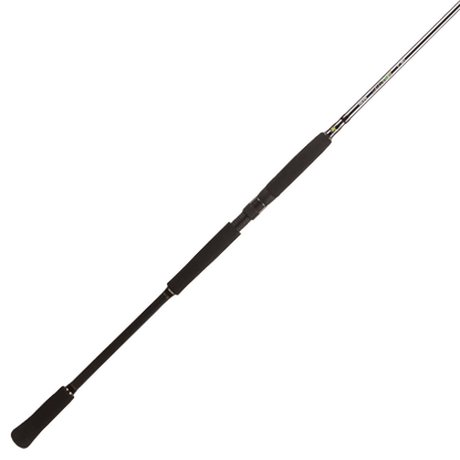 Spinings BFT Raptor G2 Spinn Pike Multi 8' -100g 2pcs Casting
