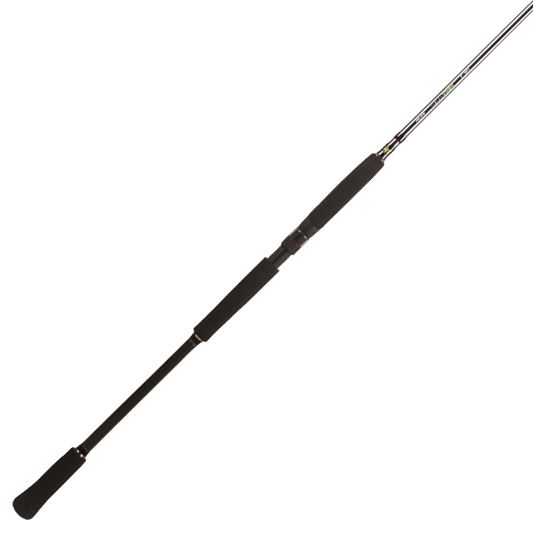Spinings BFT Raptor G2 Spinn Pike Multi 8' -100g 2pcs Casting