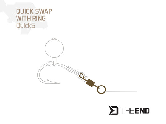 Karabīne Delphin TheEND QuickS / 10 pcs