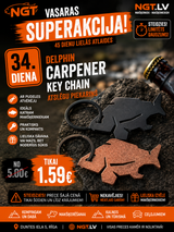 Key chain with a bottle opener Delphin CARPENER Silver