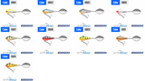 Spintail Spinmad WIR 10g