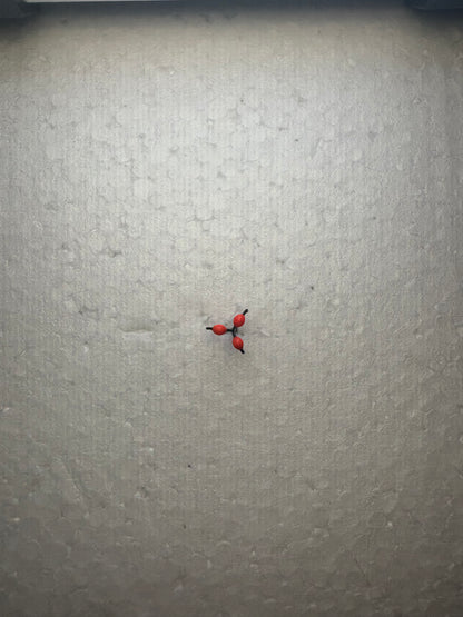 Trīsžubura āķis ar trīs ikru bumbiņām #16