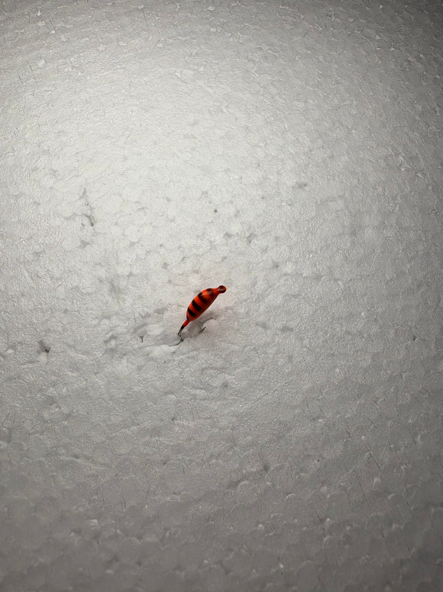 Volframa mormiška "BANĀNS TĪĢERĒNS"