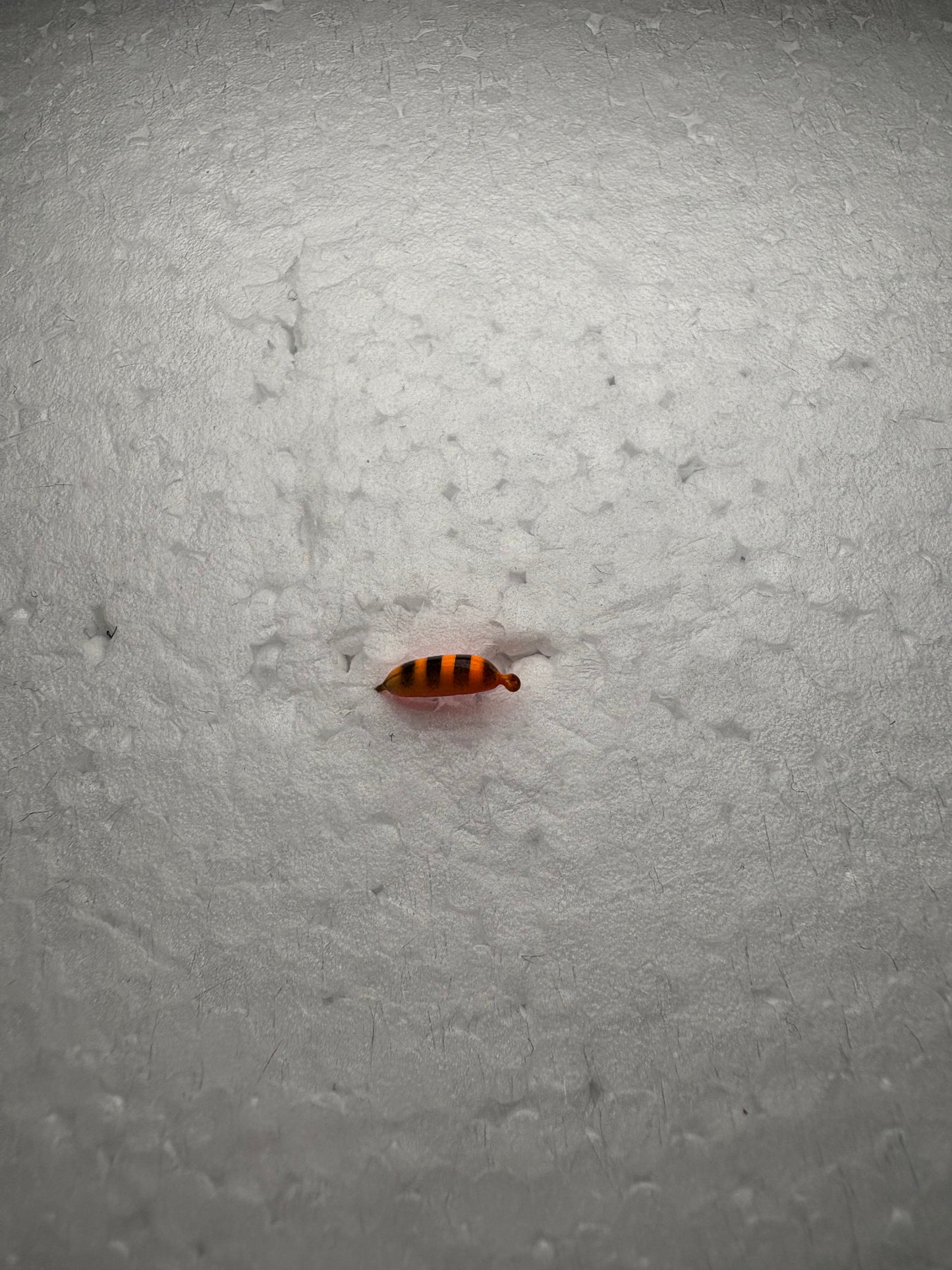 Volframa mormiška "BANĀNS TĪĢERĒNS"