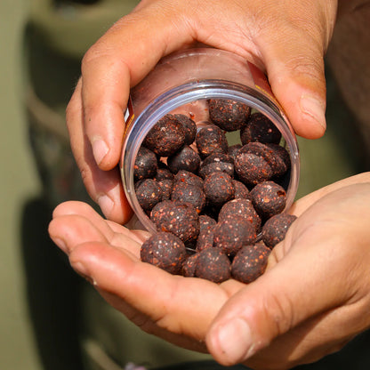 Boilas OMC Paella Boosted Cured Hookbaits