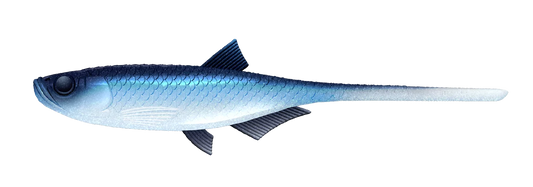 Silicone Lure Libra Lures Bleak Slug Tail 8.2"