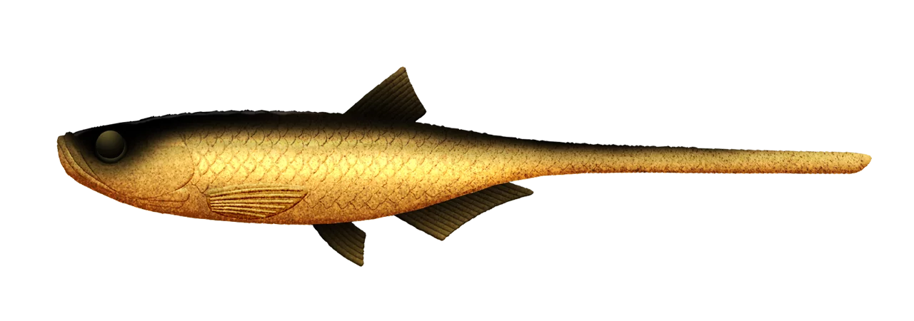 Silikona māneklis Libra Lures Bleak Slug Tail 8.2"