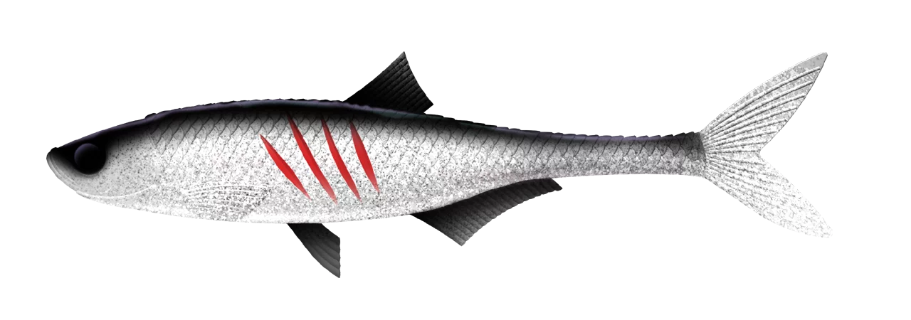 Silikona māneklis Libra Lures Dead Fish 6.7"