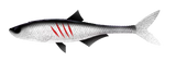 Silicone Lure Libra Lures Dead Fish 6.7"