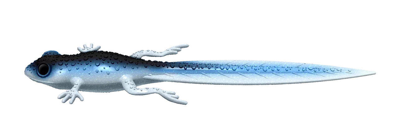 Silikona māneklis Libra Lures Frog Tadpole Tails 8.2"