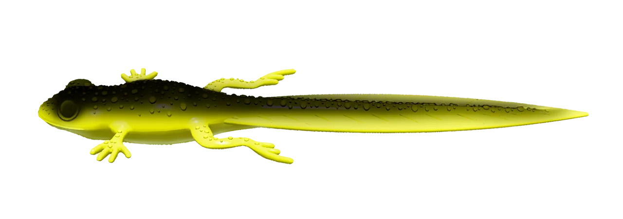 Silikona māneklis Libra Lures Frog Tadpole Tails 8.2"