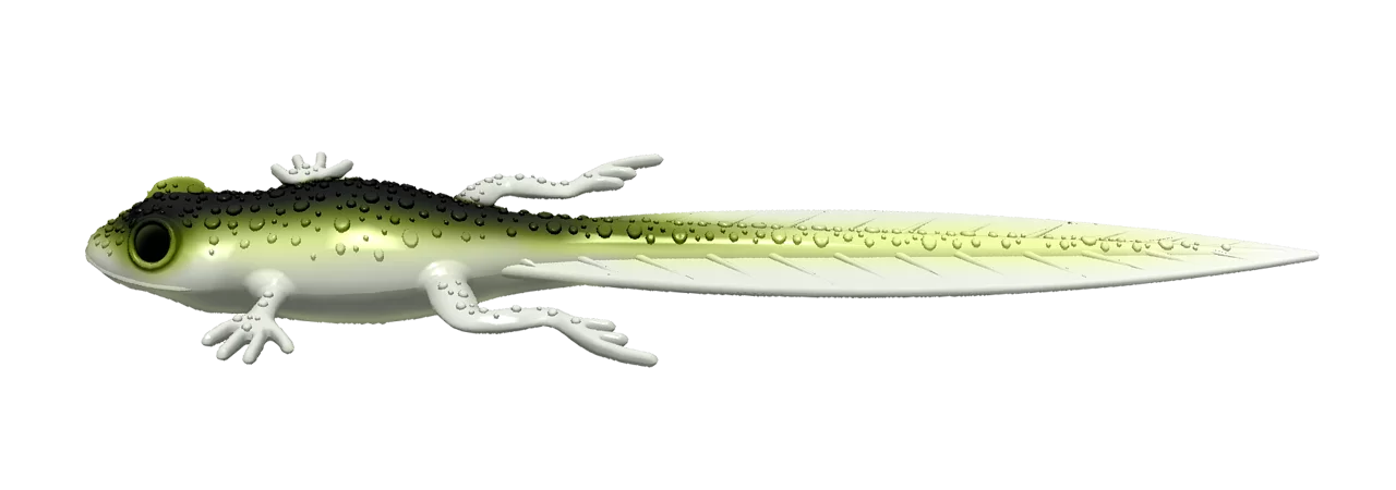 Silikona māneklis Libra Lures Frog Tadpole Tails 8.2"