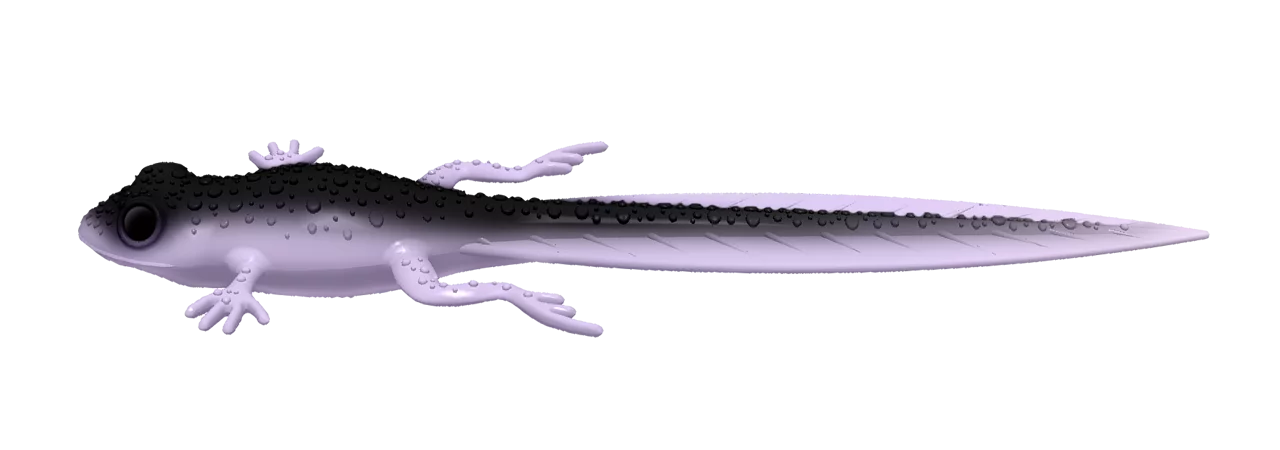 Silikona māneklis Libra Lures Frog Tadpole Tails 8.2"