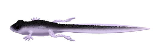 Silicone Lure Libra Lures Frog Tadpole Tails 8.2"