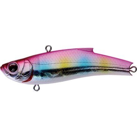 Bassday RANGE VIB 55TG