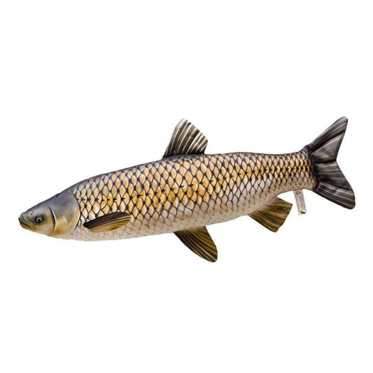 Spilvens Amūrs mini 40cm / The Mini Grass Carp 40cm