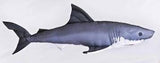 Spilvens haizivs lielā 120cm / Shark big pillow 120cm