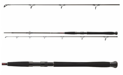 Spinings DAIWA Exceler CF Spin | 2.40m | 135g