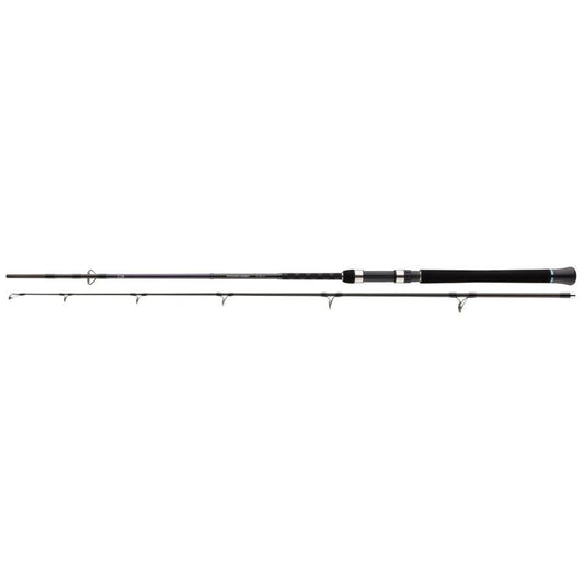 Spinings Daiwa Powermesh Catfish | 2.15 m | 160 g