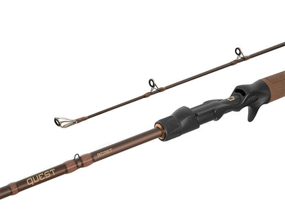 Spinings Delphin QUEST B´CAST