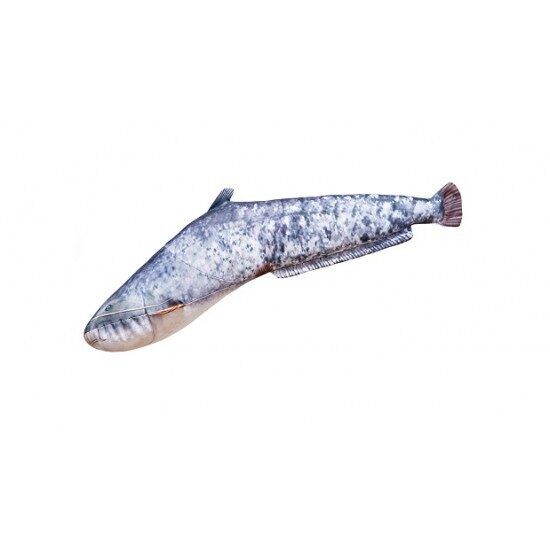 Pagalvė šamas mažas 62cm / Catfish pillow small 62cm