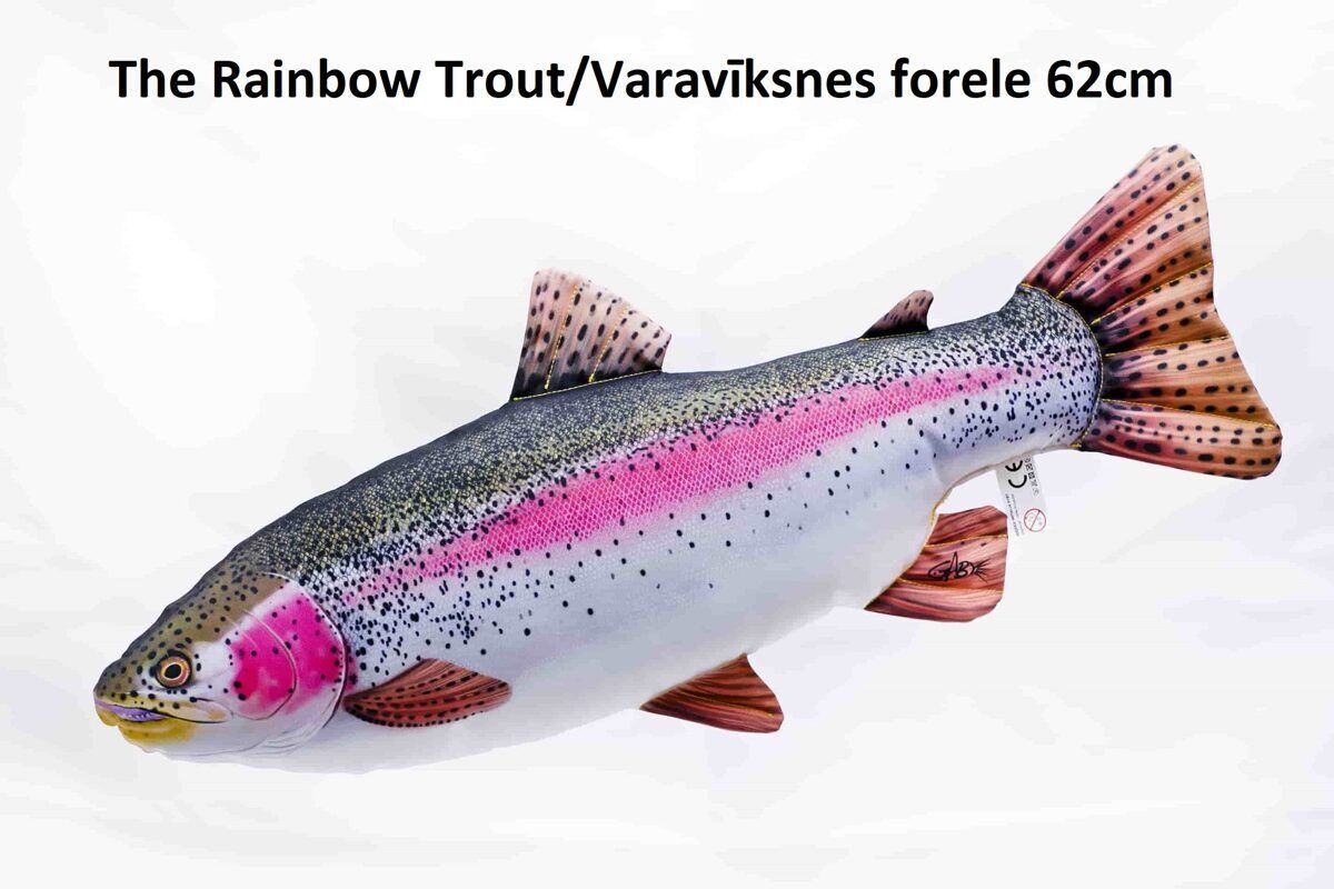 amuras Spilvens varavīksnes forele 62cm / Rainbow Trout pillow 62cm Produkts